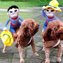 Give Crazy gallery image