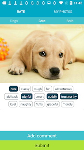 Rate My Pet Product Information, Latest Updates, and Reviews 2024