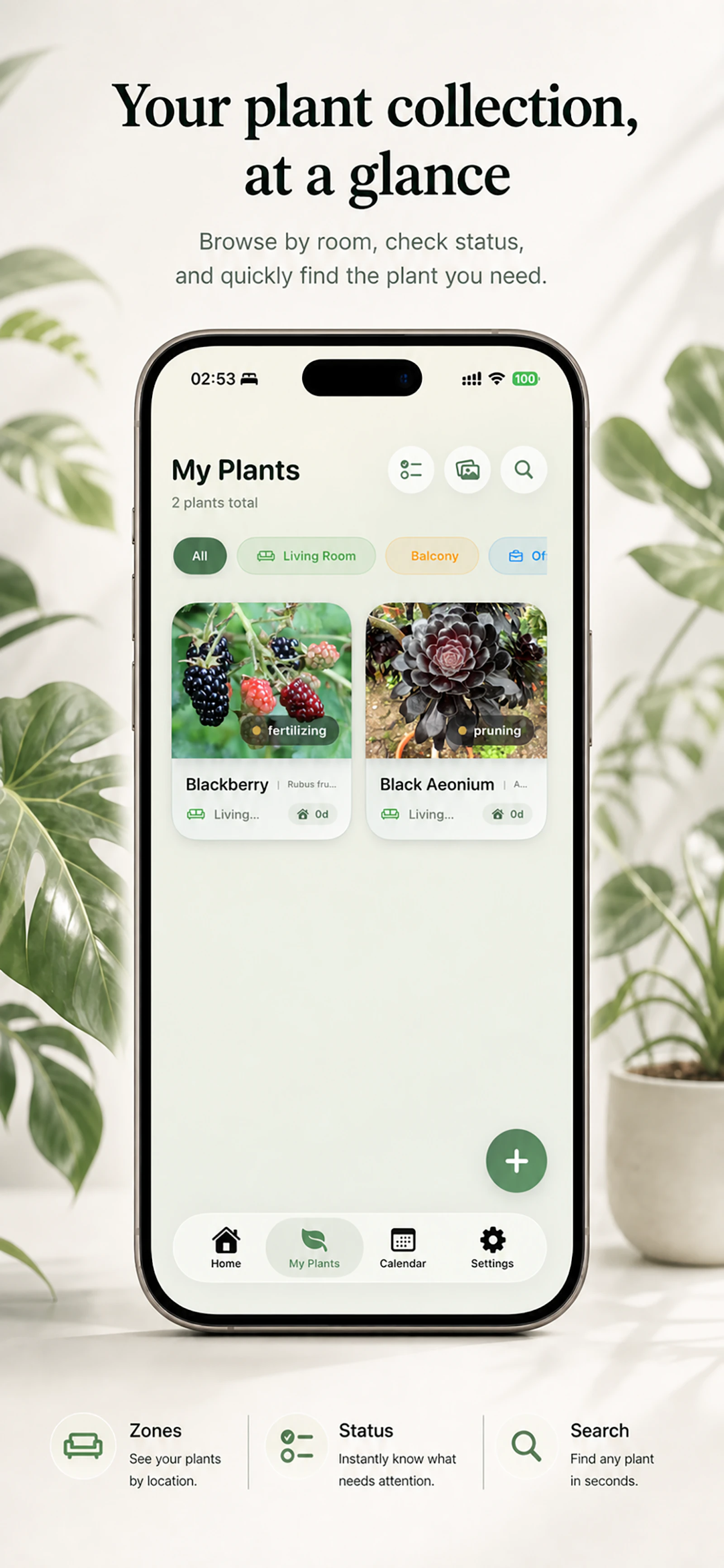 Florea screenshot 5
