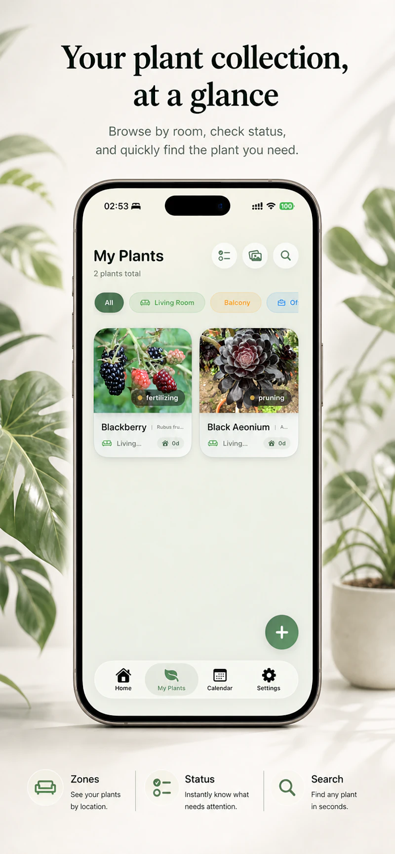Florea screenshot 5