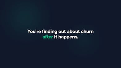 ChurnHalt: churn intelligence for Stripe gallery image