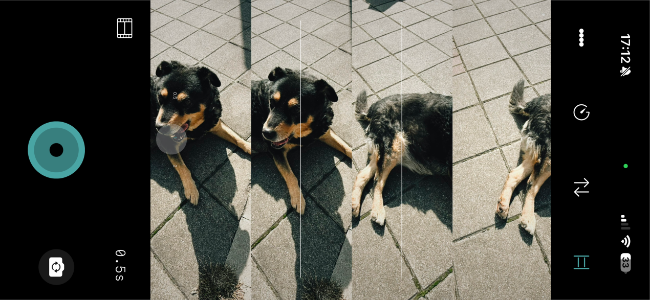 ssssampler gallery image