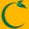 Premium Vietnam Cashews