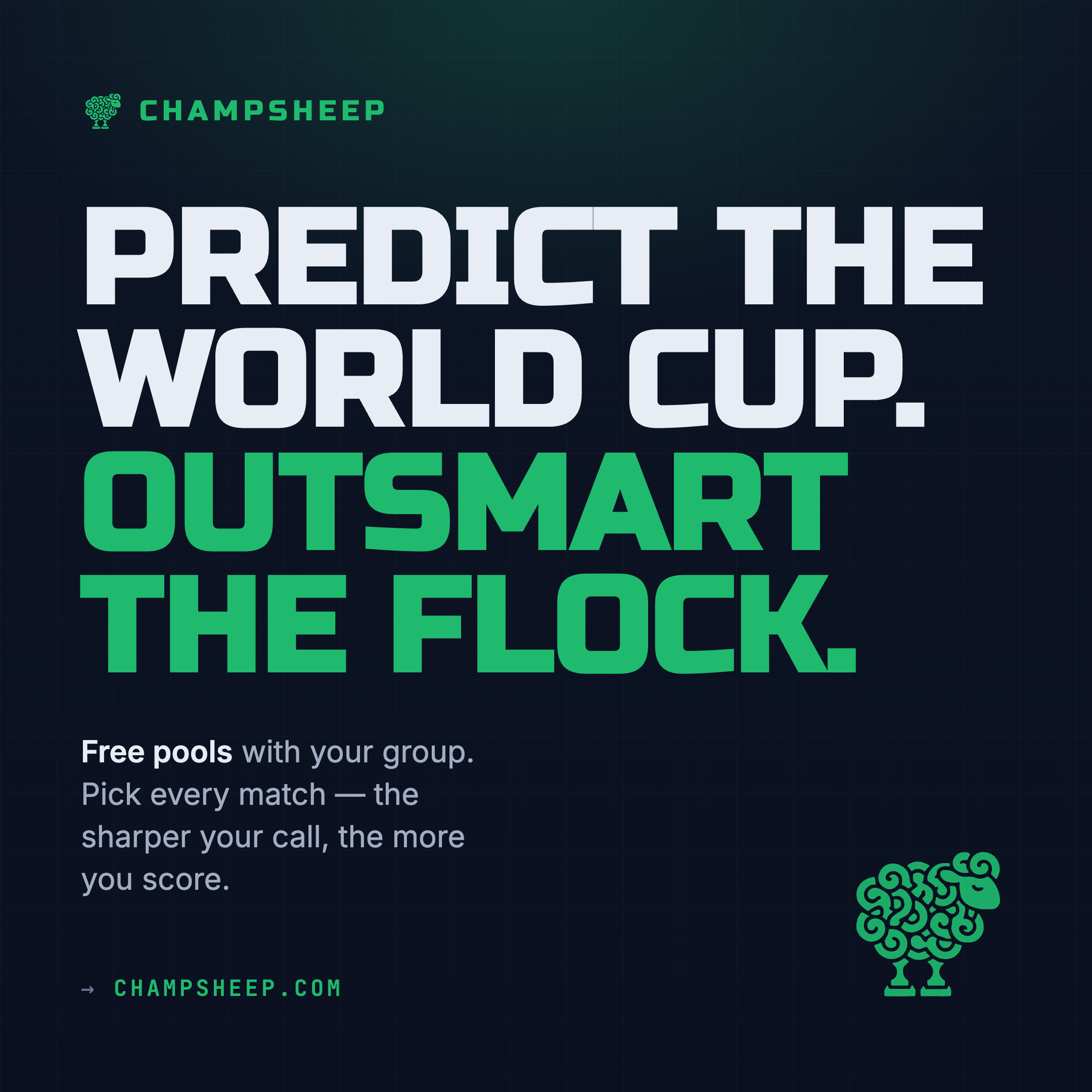 ChampSheep gallery image