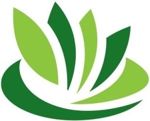 Gerencia de césped