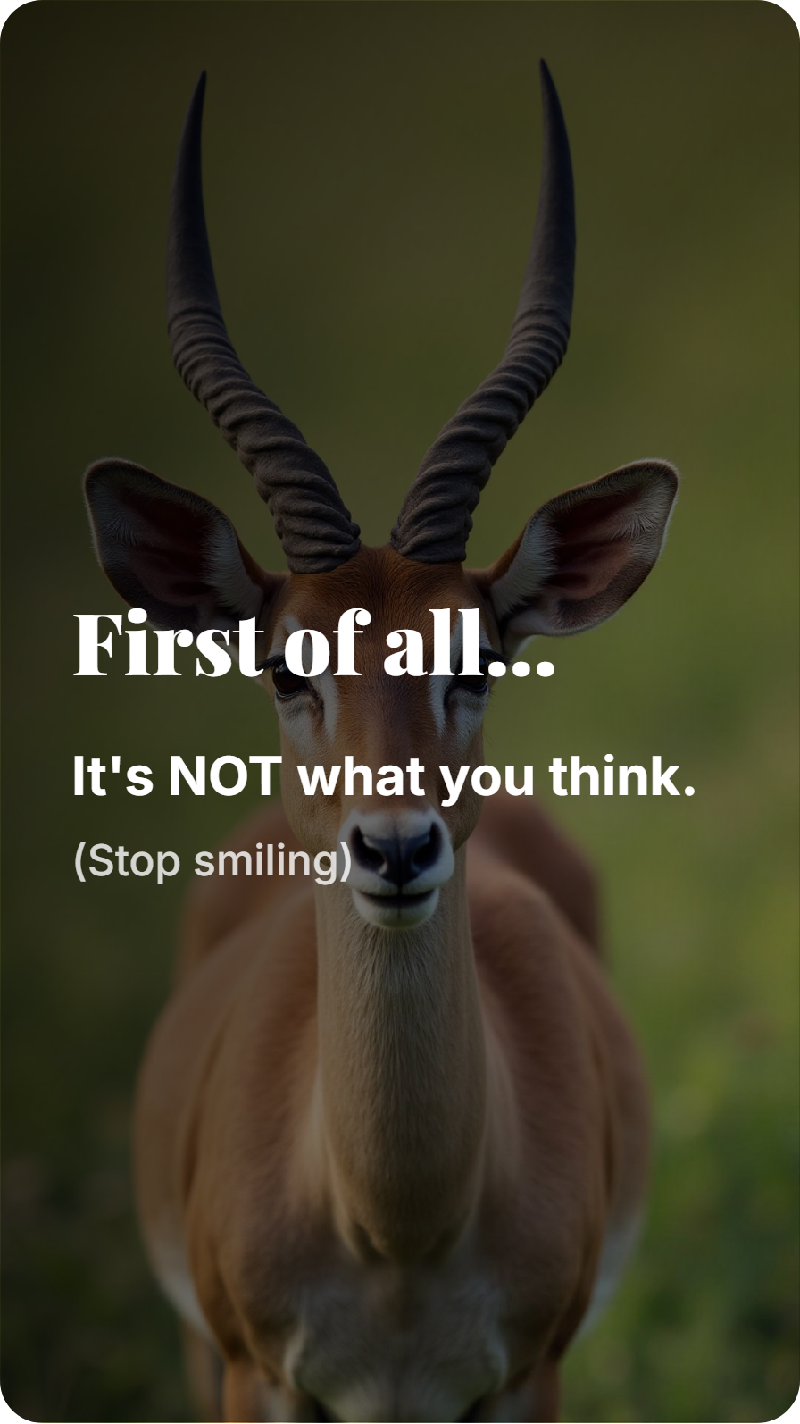 HornyToday - Screenshot 2 preview