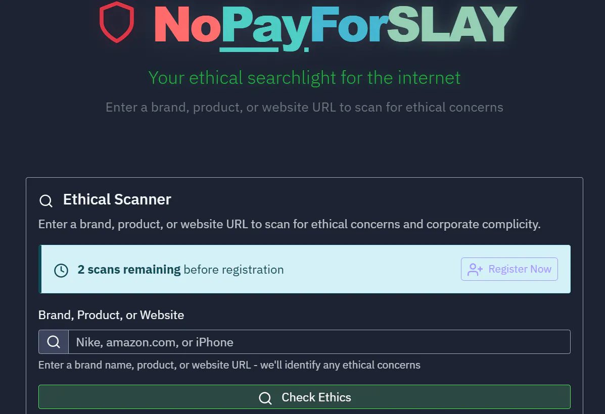 NoPayForSlay gallery image