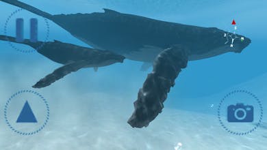 Sharks VR gallery image