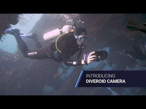 DIVEROID gallery image