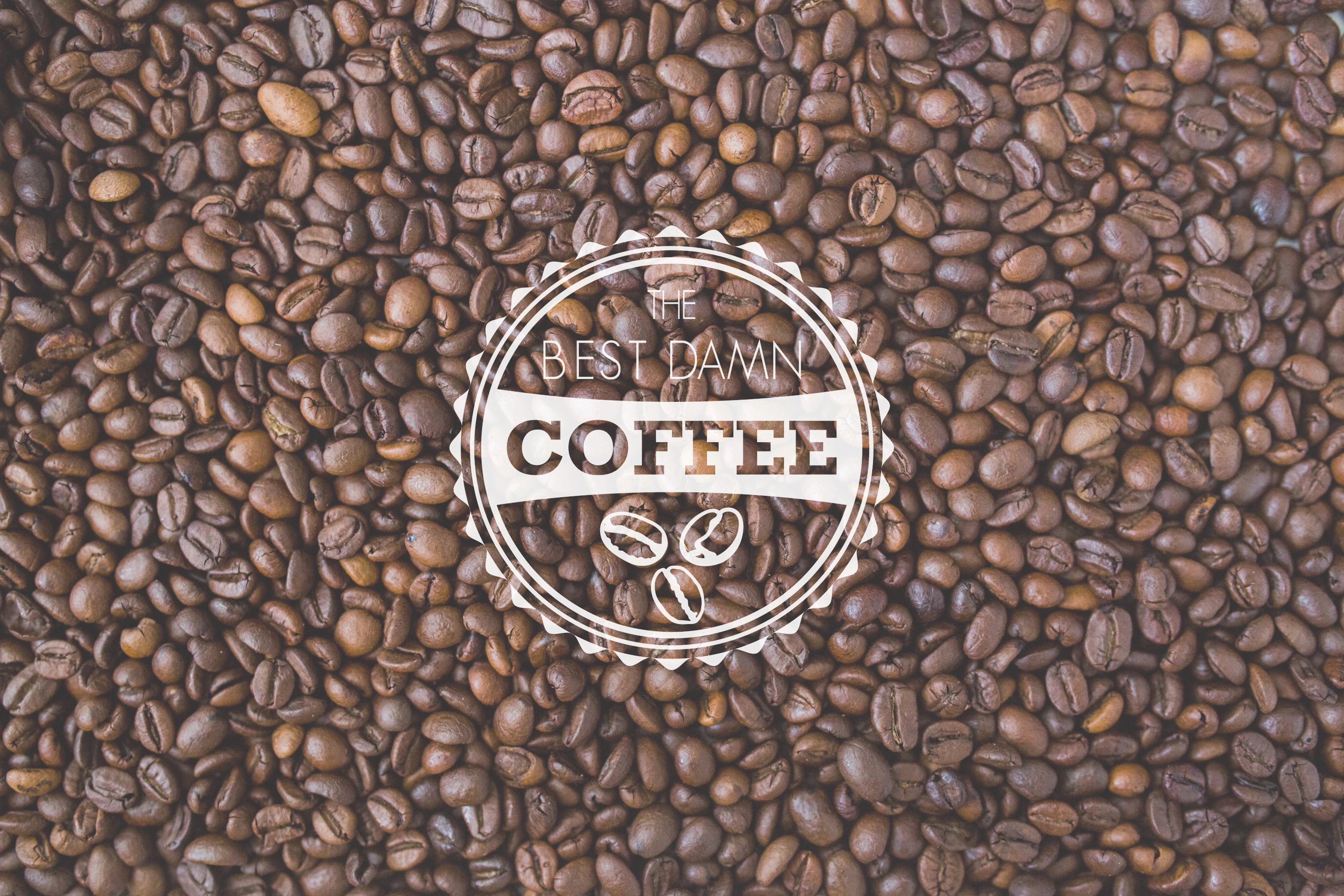 The Best Damn Coffee Subscription