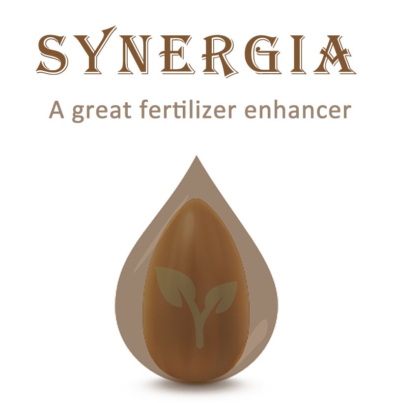 Organic treatment agent improve seed germination for vegetable seed