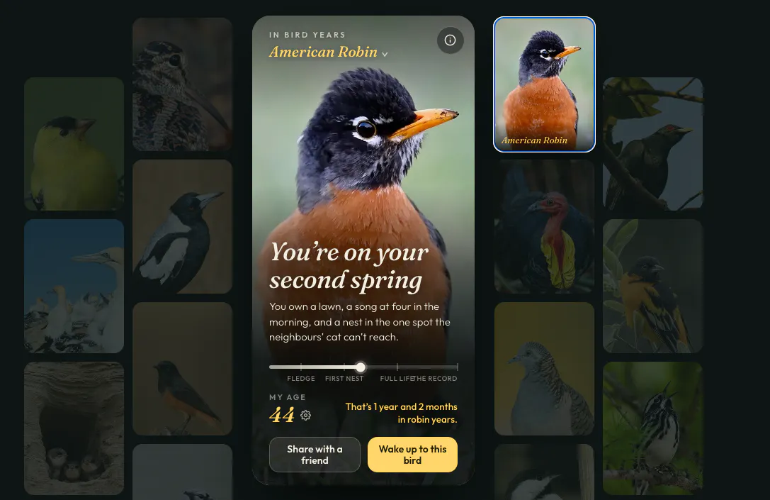 In Bird Years screenshot 2