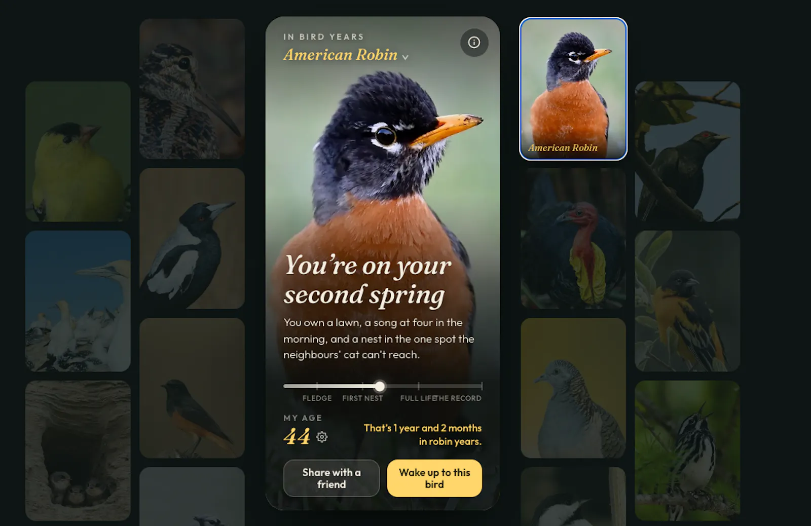 In Bird Years screenshot 2