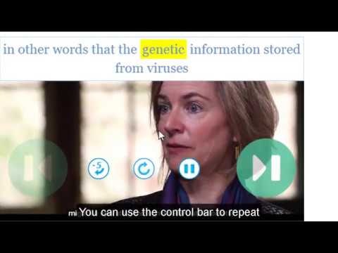 Vocabulary builder | VoPhaSe gallery image