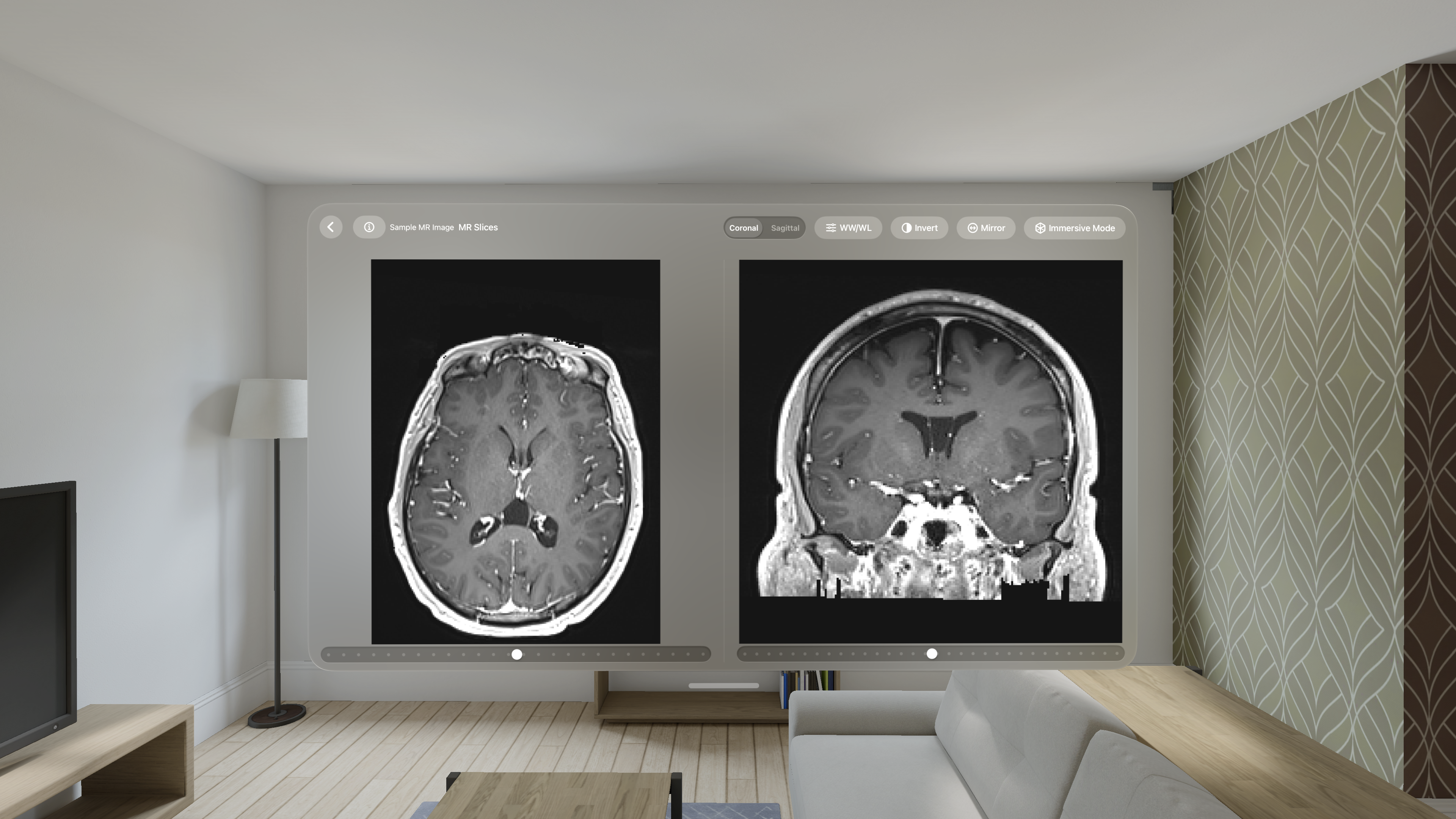 VoxelVision - DICOM Viewer gallery image
