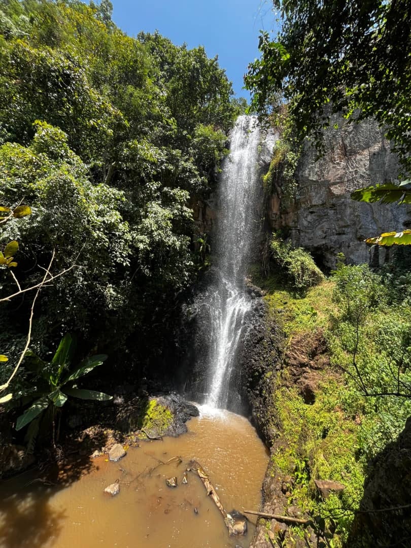 Africantrust Safari media 168