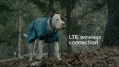 带有LTE/4G连接、长久续航电池以及防水设计的GPS宠物跟踪装置。