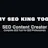 My SEO King Tool