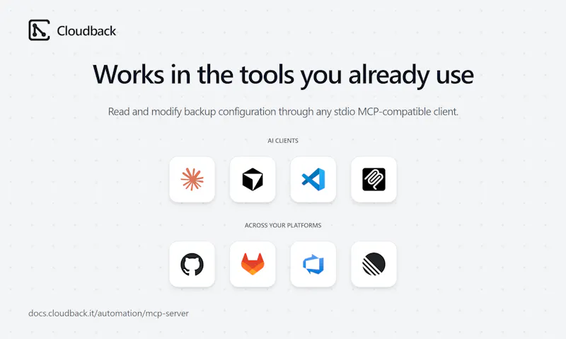 Cloudback MCP Server screenshot 2