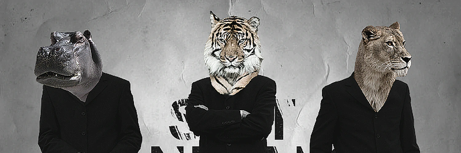 Lindsay Christianson cover