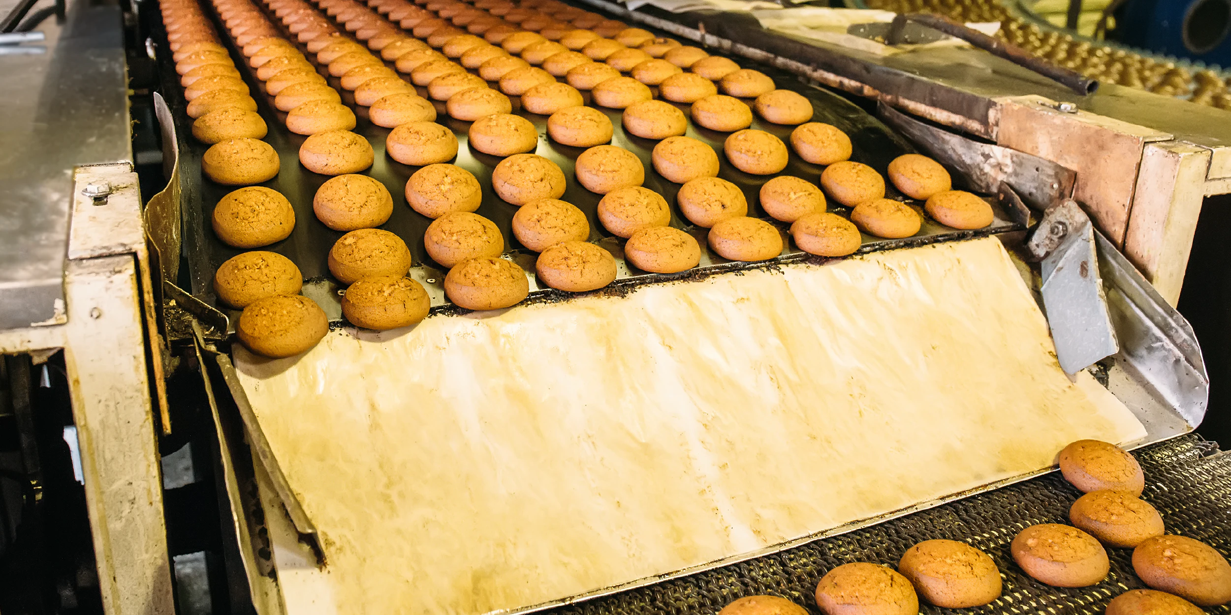 BatchMaster Food ERP Software