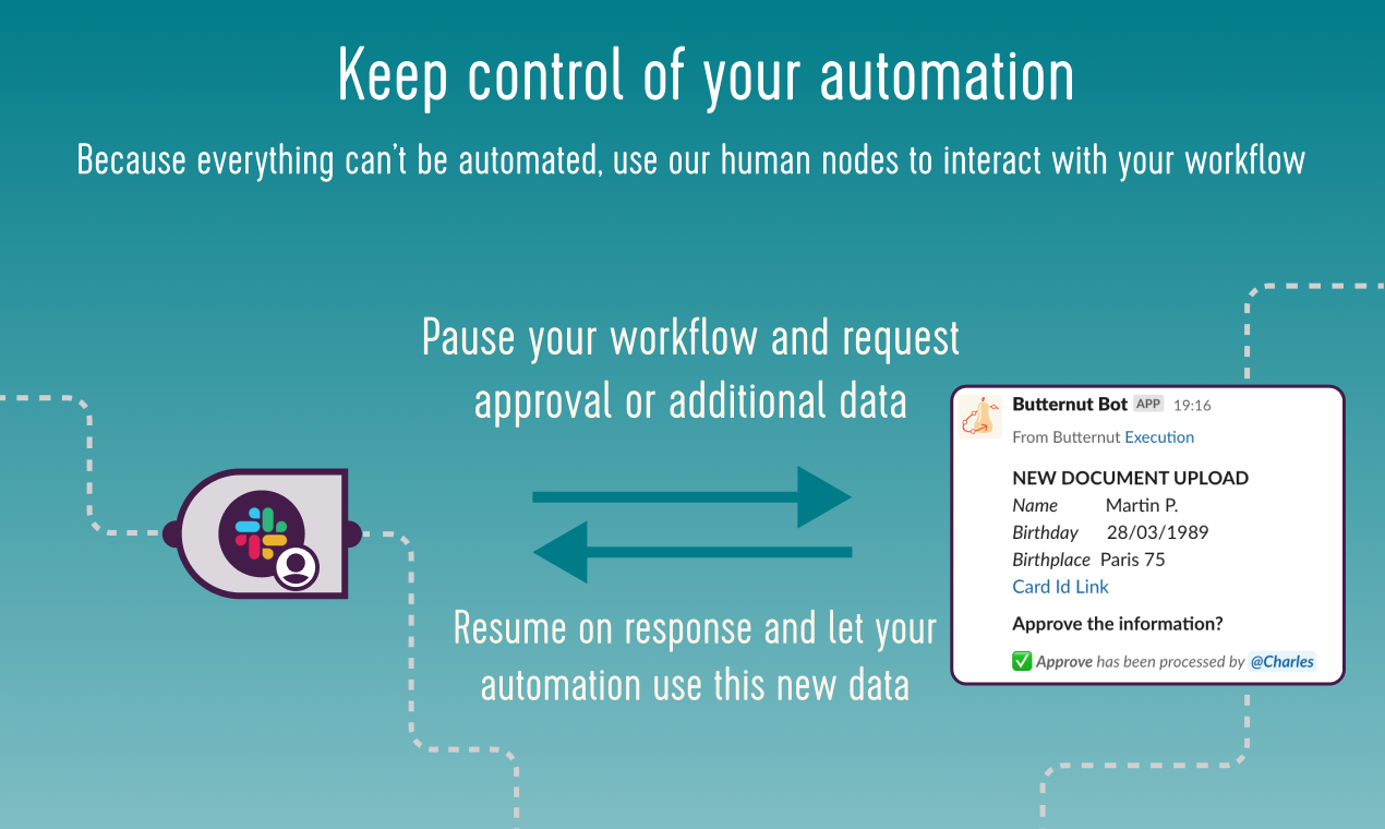 Butternut gallery image