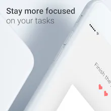 Focused gallery image