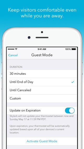 Skylark gallery image