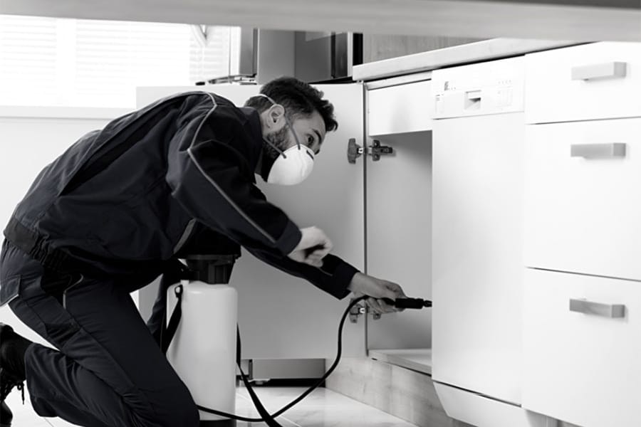 Nice Threads Carpet Cleaning gallery image