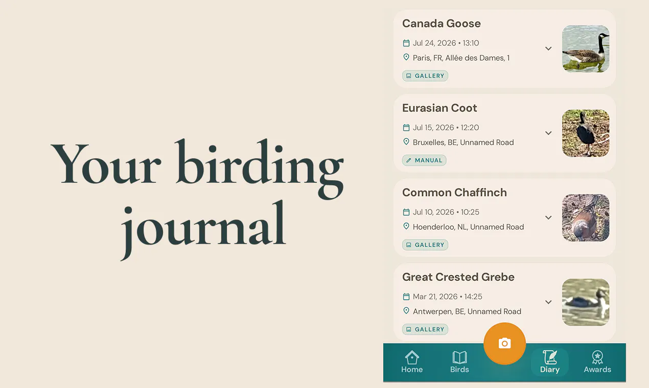 Aves ID - Bird Identifier for Europe gallery image