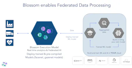 Blossom Data Platform gallery image