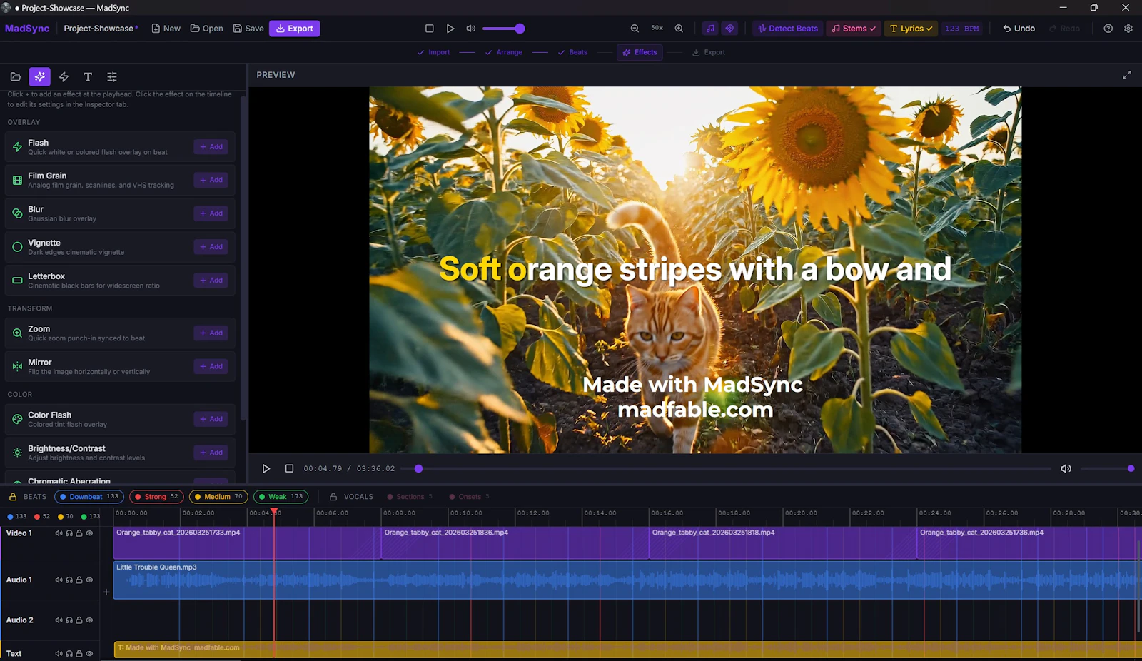 MadSync - Music Video Editor screenshot 9
