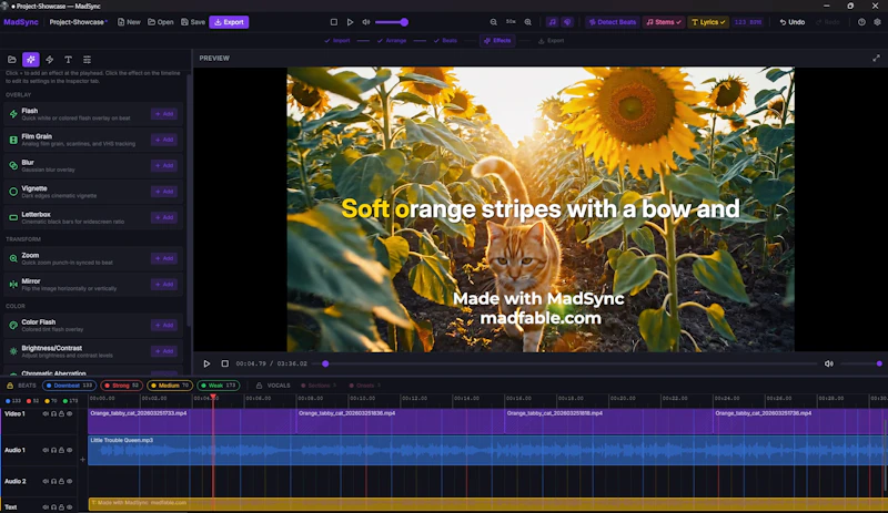MadSync - Music Video Editor screenshot 9