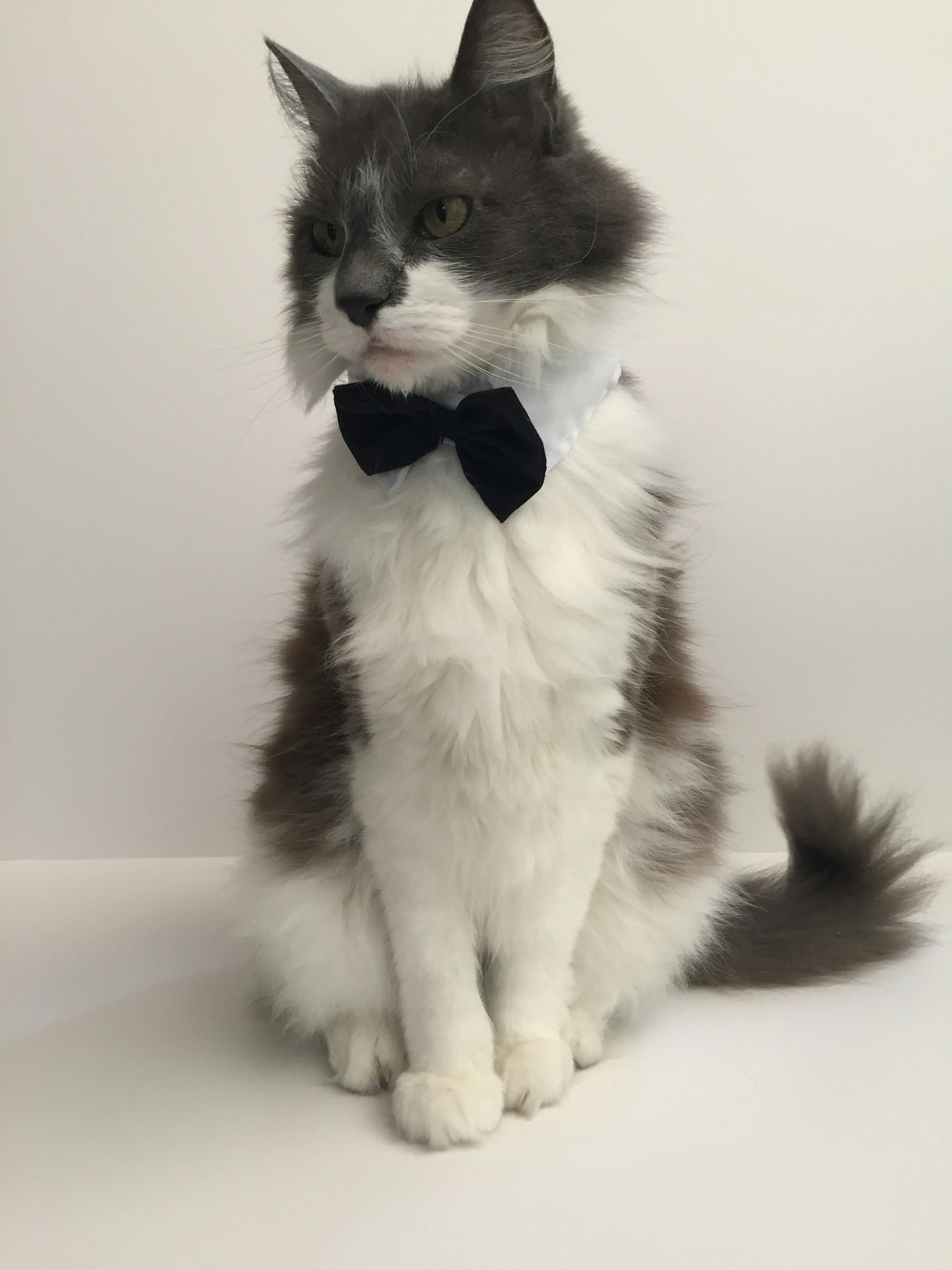 Mcfluffypuff gallery image