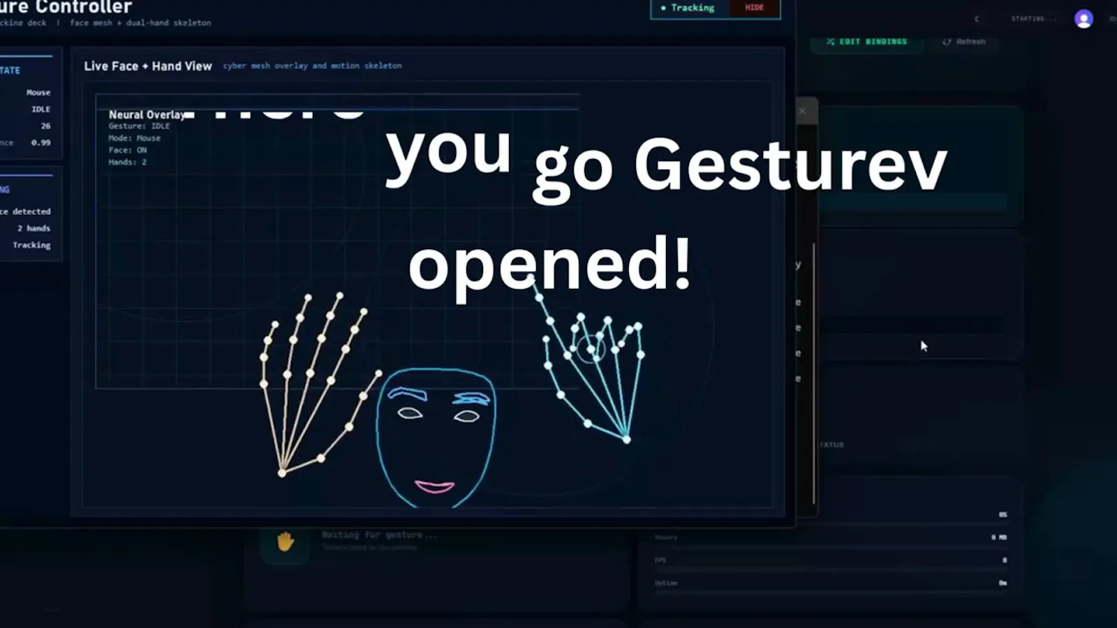 GestureV screenshot 1 (video preview)