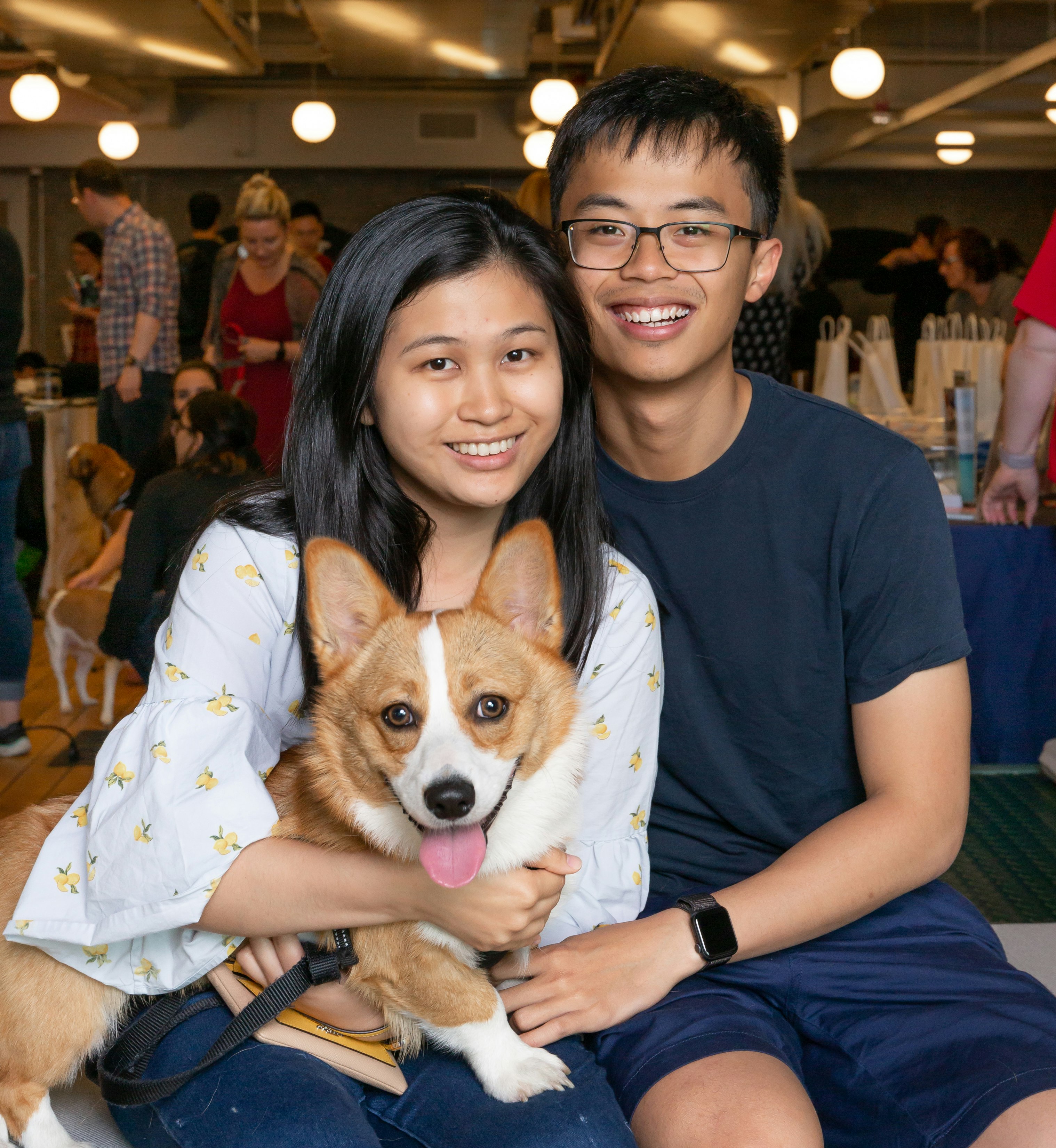 Dig 2.0 gallery image