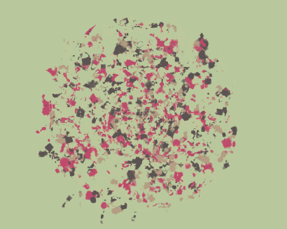 Color Wander Image
