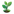 AgricareAI