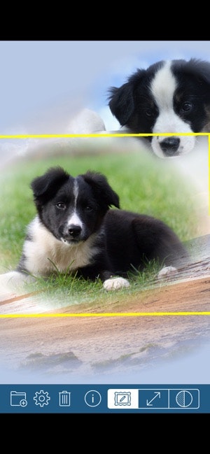 PhotoTangler Collage Maker gallery image