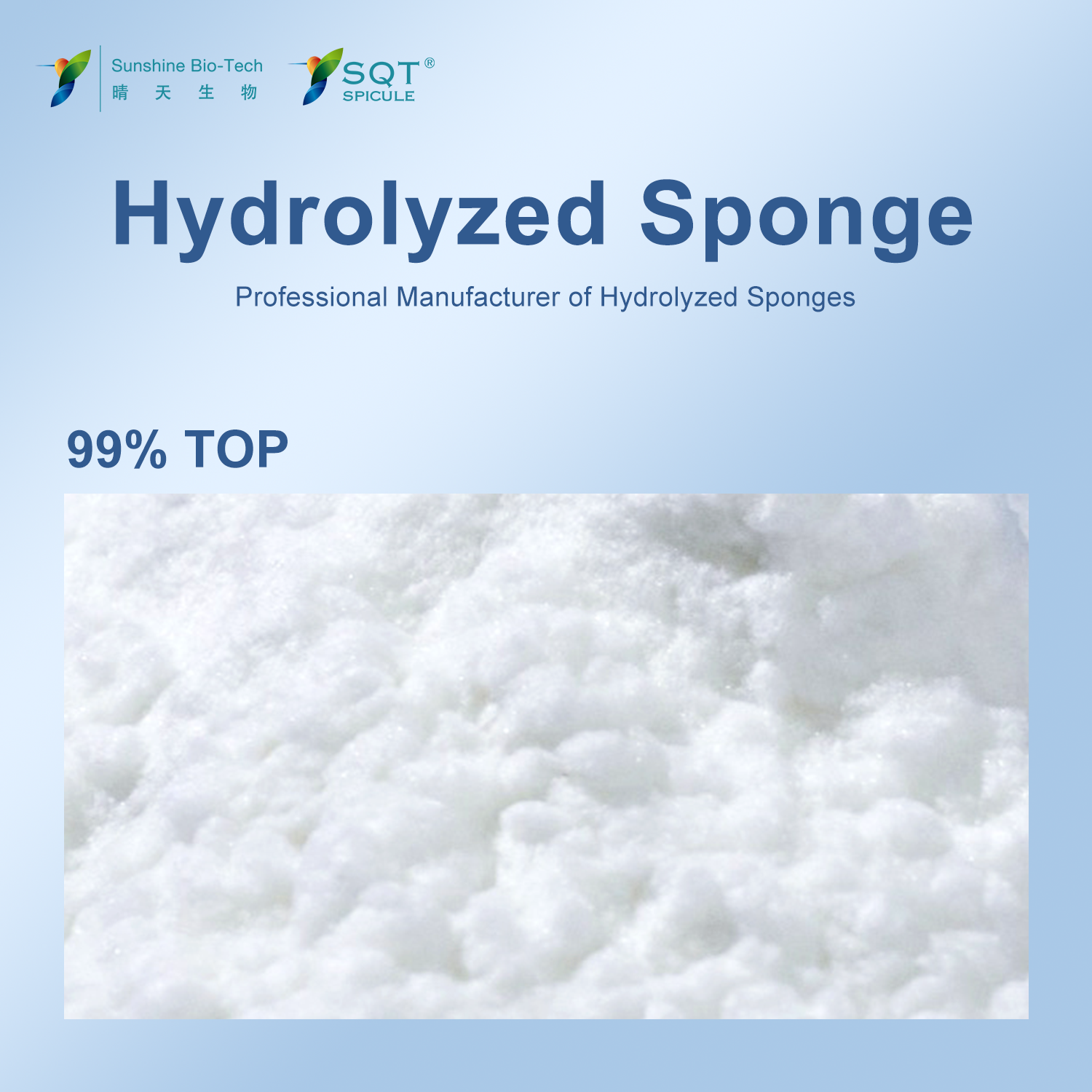 Sponge spiculs gallery image