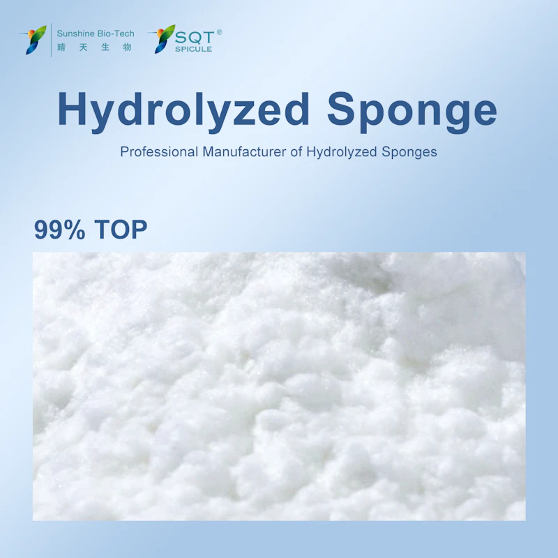Sponge spiculs screenshot 1