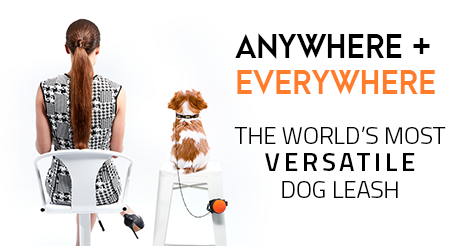 ReLeash gallery image