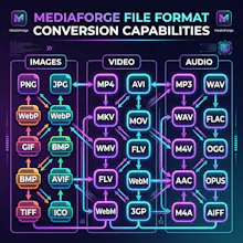 MediaForge gallery image