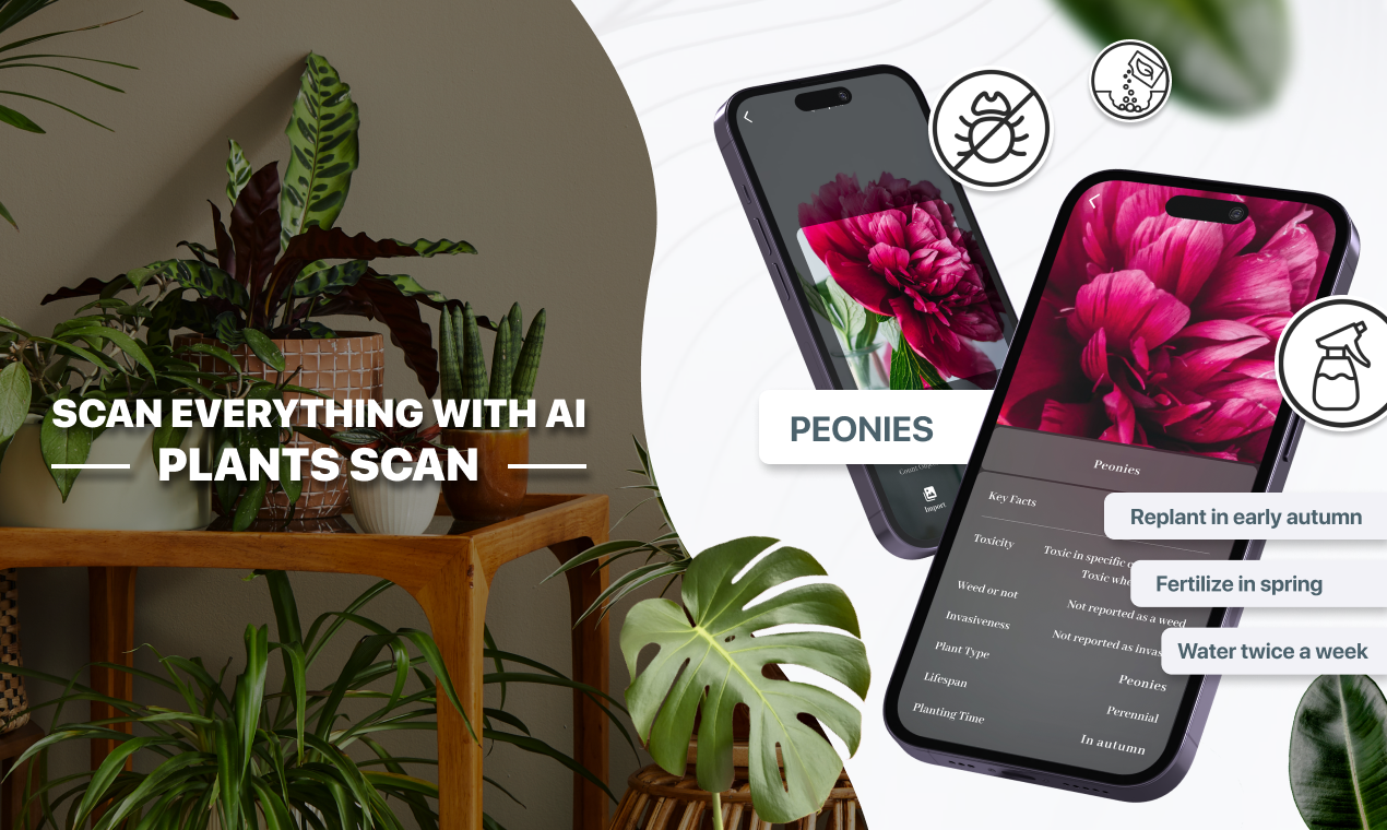 TapScanner gallery image