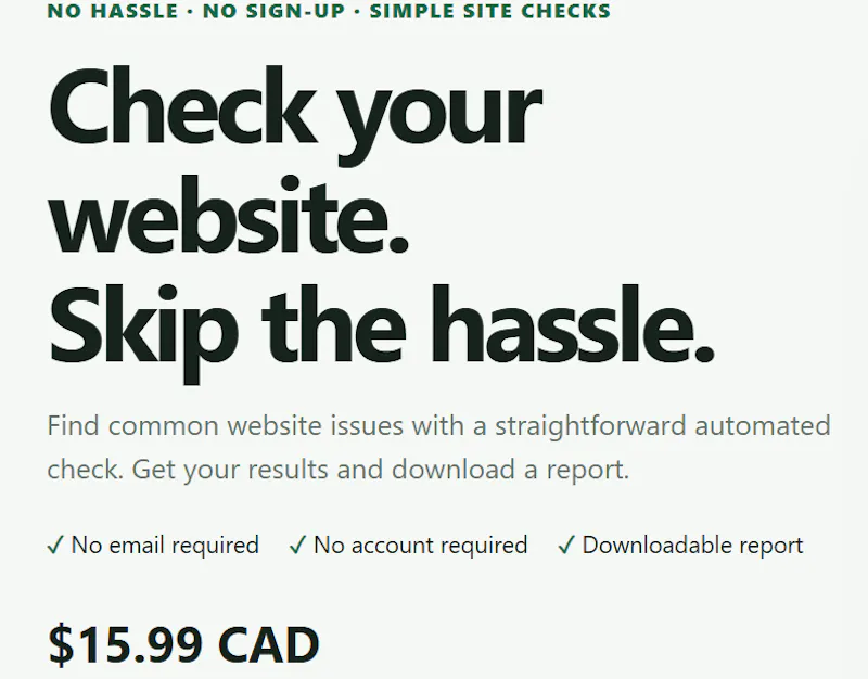 Best Website Audit Tool Seo/Performance screenshot 2