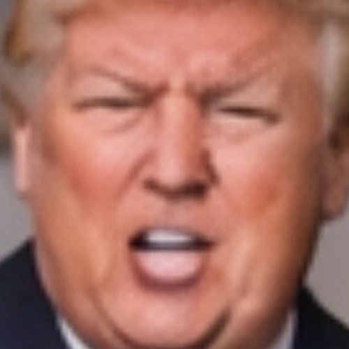Trumpifier logo