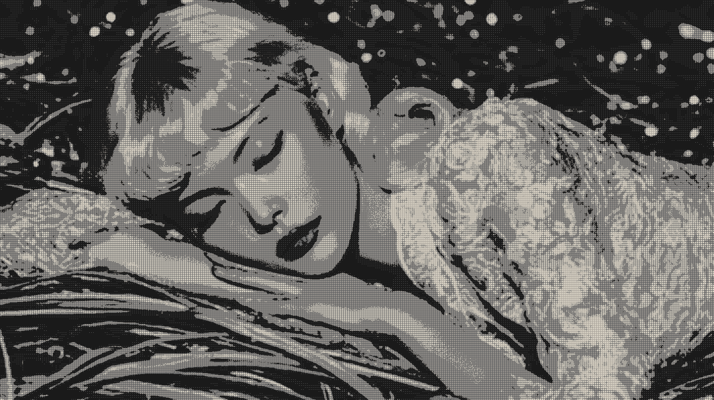 Bezier One gallery image