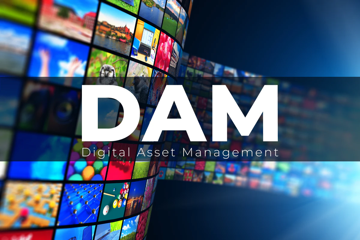 What is Digital Asset Management (DAM)?