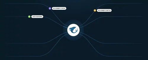 PayShark