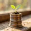 The 90-Day Credit Score Plan